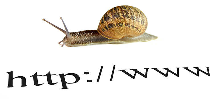 Internet Speed, Snail white background
