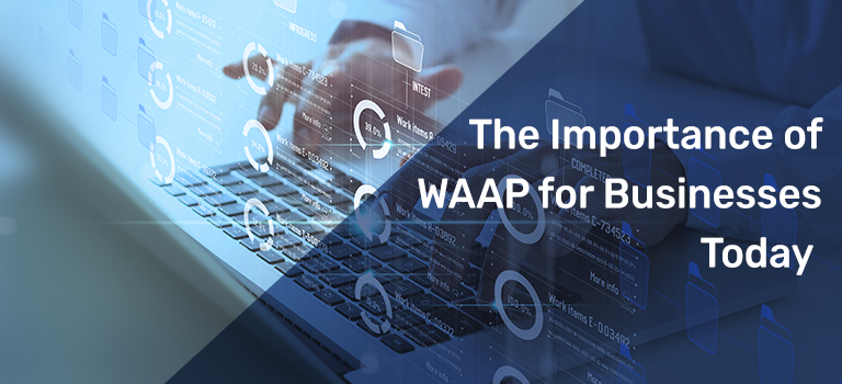 The Importance of WAAP for Businesses Today